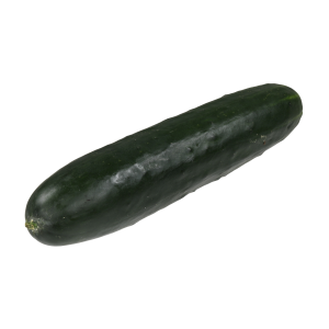 Concombre